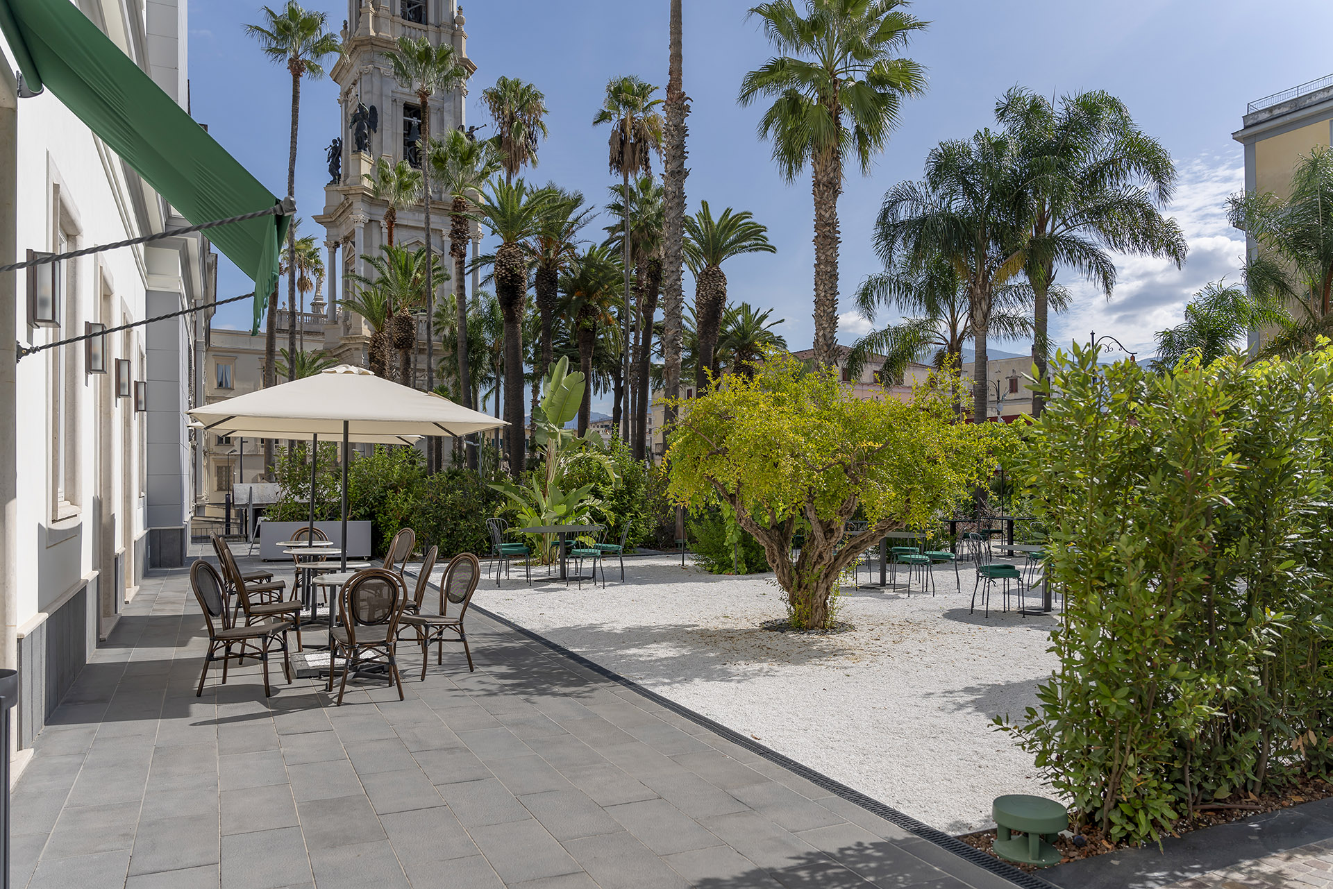 The garden with palms and lounge